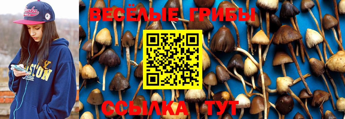 Псилоцибиновые грибы прущие грибы  Вход с VPN  Галлюциногенные грибы Psilocybine cubensis  Новый Уренгой 